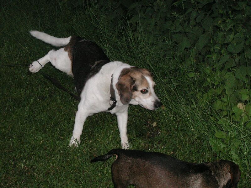 Bild 010